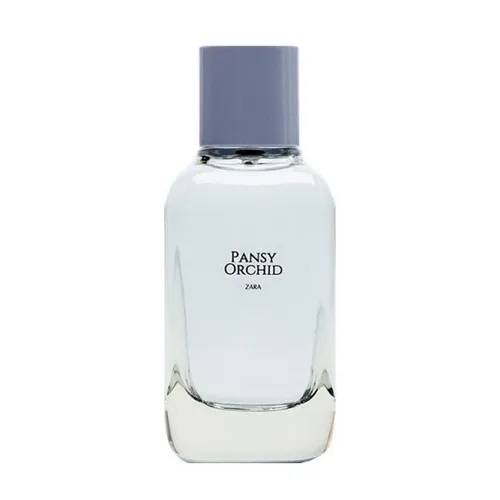 Zara Pansy Orchid