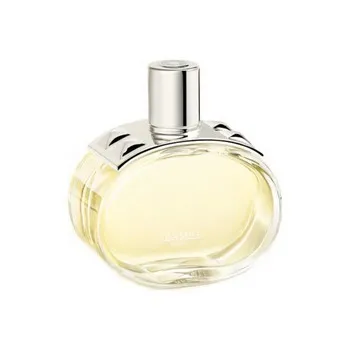 Hermès Barénia
